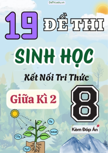 Tuyển tập 19 Đề thi giữa Kì 2 môn Sinh Học 8 sách Kết Nối Tri Thức (Kèm đáp án)