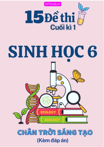 Tuyển tập 15 Đề thi cuối Kì 1 môn Sinh Học 6 sách Chân Trời Sáng Tạo (Kèm đáp án)