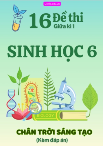 Tuyển tập 16 Đề thi giữa Kì 1 môn Sinh Học 6 sách Chân Trời Sáng Tạo (Kèm đáp án)
