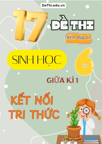 Tuyển tập 17 Đề thi giữa Kì 1 môn Sinh Học 6 sách Kết Nối Tri Thức (Kèm đáp án)