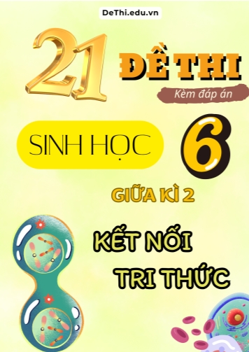 Tuyển tập 21 Đề thi giữa Kì 2 môn Sinh Học 6 sách Kết Nối Tri Thức (Kèm đáp án)