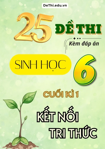 Tuyển tập 25 Đề thi cuối Kì 1 môn Sinh Học 6 sách Kết Nối Tri Thức (Kèm đáp án)