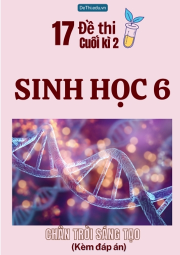 Tuyển tập 17 Đề thi cuối Kì 2 môn Sinh Học 6 sách Chân Trời Sáng Tạo (Kèm đáp án)