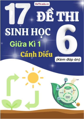 Tuyển tập 17 Đề thi giữa Kì 1 môn Sinh Học 6 sách Cánh Diều (Kèm đáp án)