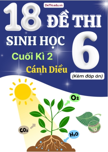 Tuyển tập 18 Đề thi cuối Kì 2 môn Sinh Học 6 sách Cánh Diều (Kèm đáp án)