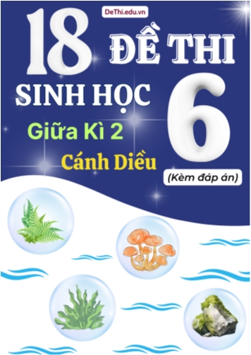 Tuyển tập 18 Đề thi giữa Kì 2 môn Sinh Học 6 sách Cánh Diều (Kèm đáp án)