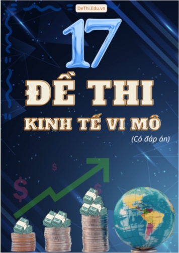 Bộ 17 Đề thi Kinh tế vi mô (Có đáp án)