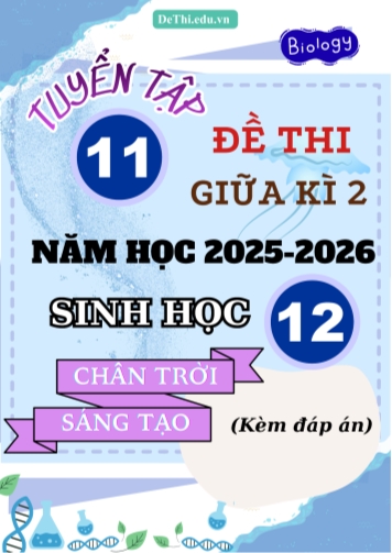 Tuyển tập 11 Đề thi giữa kì 2 năm học 2025-2026 môn Sinh học 12 CTST (Kèm đáp án)