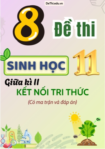 8 Đề thi Sinh Học 11 giữa học kì 2 có Ma trận & Đáp án (Kết nối tri thức)