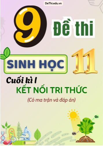 9 Đề thi Sinh Học 11 cuối học kì 1 có Ma trận & Đáp án (Kết nối tri thức)