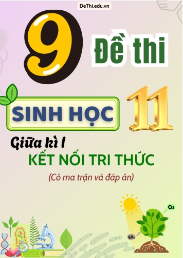 9 Đề thi Sinh Học 11 giữa học kì 1 có Ma trận & Đáp án (Kết nối tri thức)