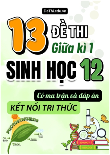 13 Đề thi Sinh Học 12 giữa học kì 1 có Ma trận & Đáp án (Kết nối tri thức)