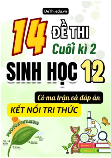 14 Đề thi Sinh Học 12 cuối học kì 2 có Ma trận & Đáp án (Kết nối tri thức)