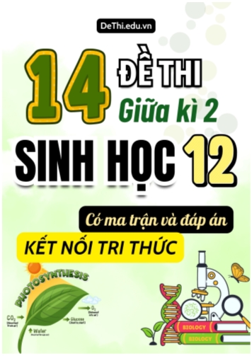 14 Đề thi Sinh Học 12 giữa học kì 2 có Ma trận & Đáp án (Kết nối tri thức)