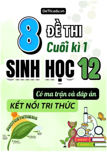 8 Đề thi Sinh Học 12 cuối học kì 1 có Ma trận & Đáp án (Kết nối tri thức)