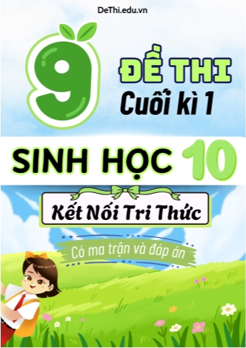 9 Đề thi Sinh Học 10 cuối học kì 1 có Ma trận & Đáp án (Kết nối tri thức)