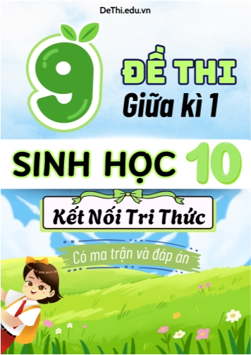 9 Đề thi Sinh Học 10 giữa học kì 1 có Ma trận & Đáp án (Kết nối tri thức)