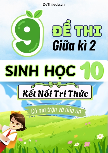 9 Đề thi Sinh Học 10 giữa học kì 2 có Ma trận & Đáp án (Kết nối tri thức)