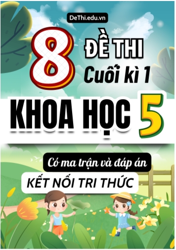 8 Đề thi Khoa Học 5 cuối học kì 1 có Ma trận & Đáp án (Kết nối tri thức)