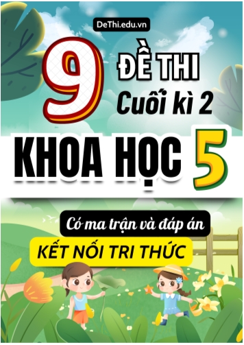 9 Đề thi Khoa Học 5 cuối học kì 2 có Ma trận & Đáp án (Kết nối tri thức)
