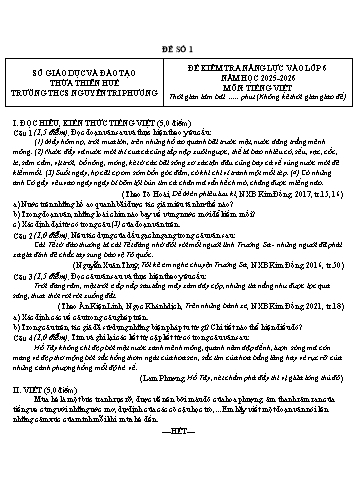 4 Đề thi tuyển sinh môn Tiếng Việt vào Lớp 6 trường Nguyễn Tri Phương - Huế 2022-2025 (Kèm đáp án)